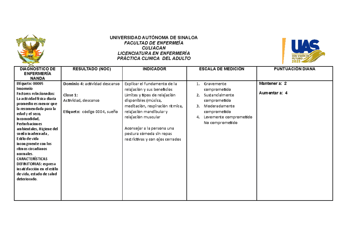 PLAN DE Cuidados insomnio - UNIVERSIDAD AUTÓNOMA DE SINALOA FACULTAD DE ...