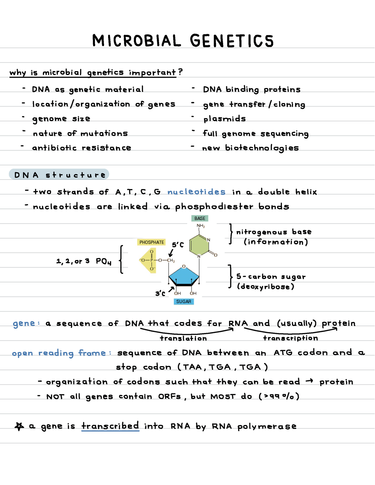 Microbial Genetics Intro - ####### MICROBIAL GENETICS Why Is Microbial ...