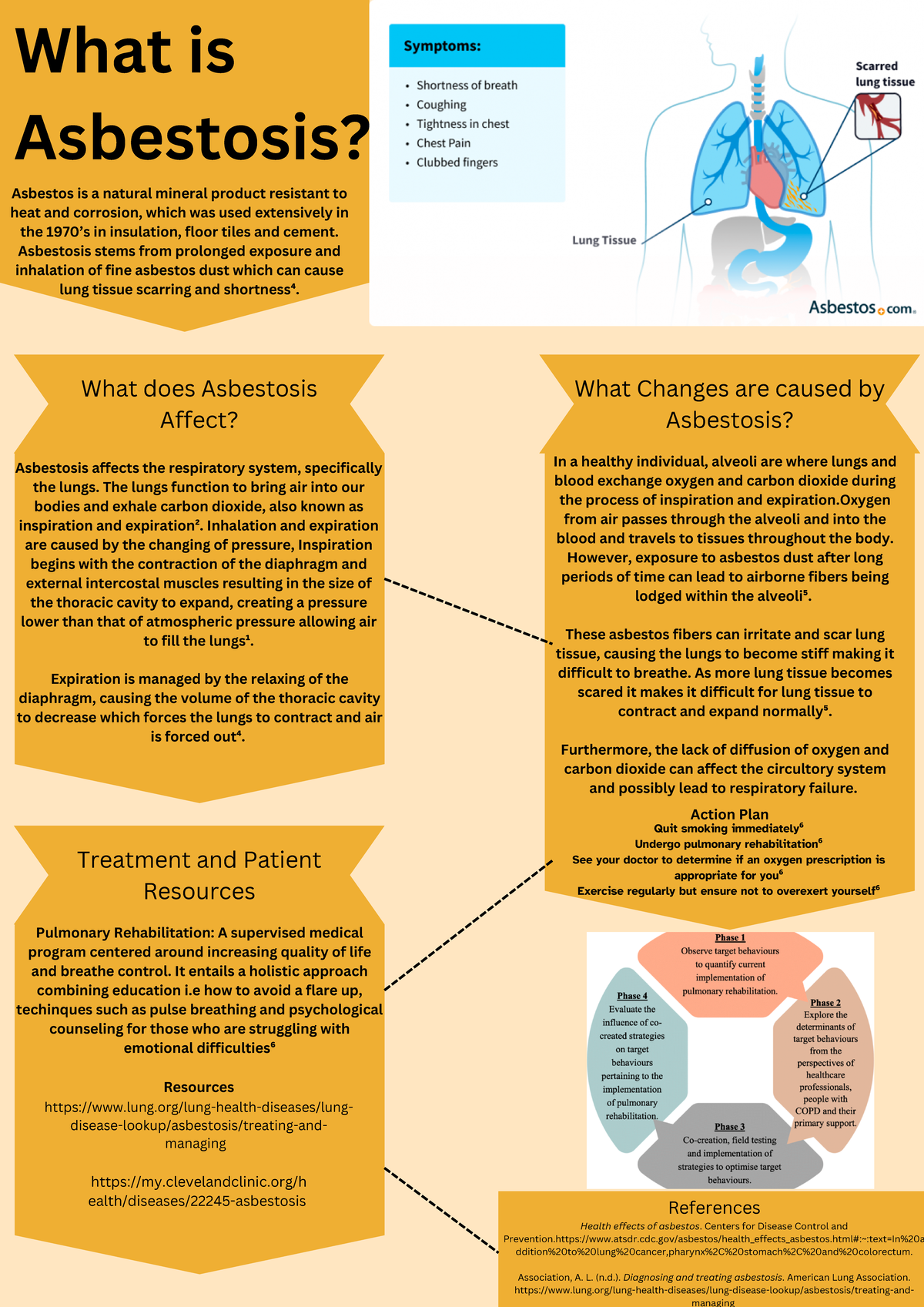 Asbestosis - What does Asbestosis Affect? Asbestosis affects the ...