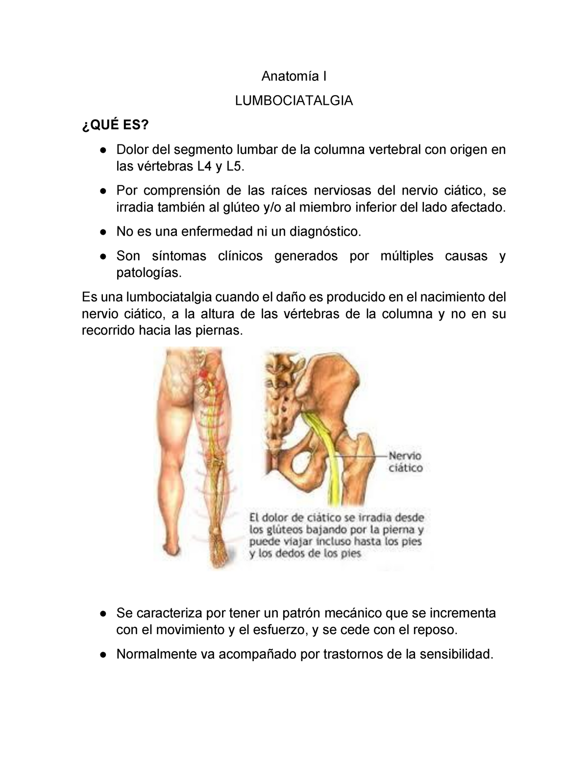 Anatomía I Lumbalgia Ciatalgia Warning Tt Undefined Function 32 Anatomía I Lumbociatalgia 6532