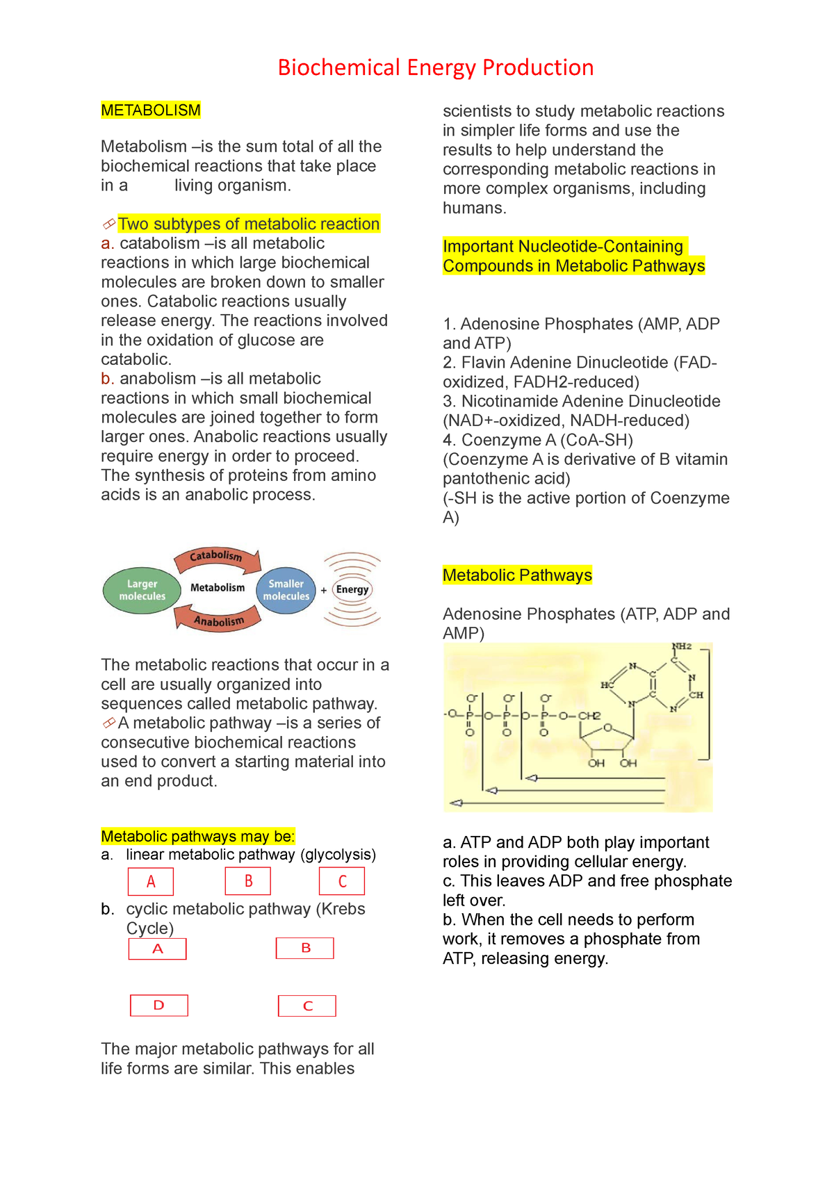 C6-Biochemical energy production - METABOLISM Metabolism –is the sum ...