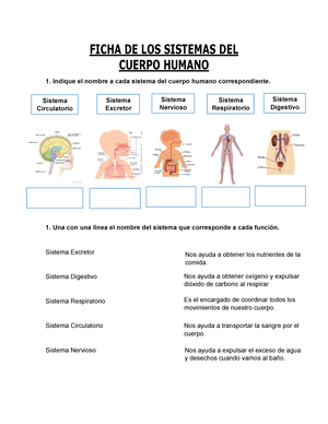 Ficha 11-secundaria - Ciudadanía Digital - Cu·ndo SÌ Y Cu·ndo No (desde ...