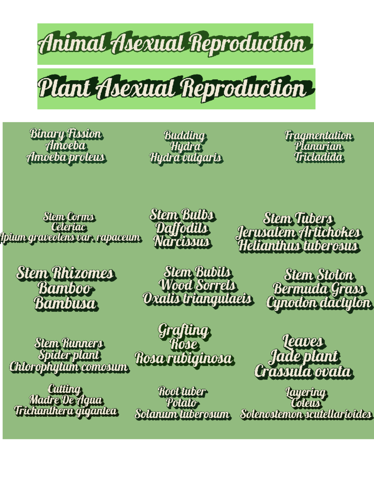 Add a little bit of body text - Animal Asexual Reproduction Plant ...