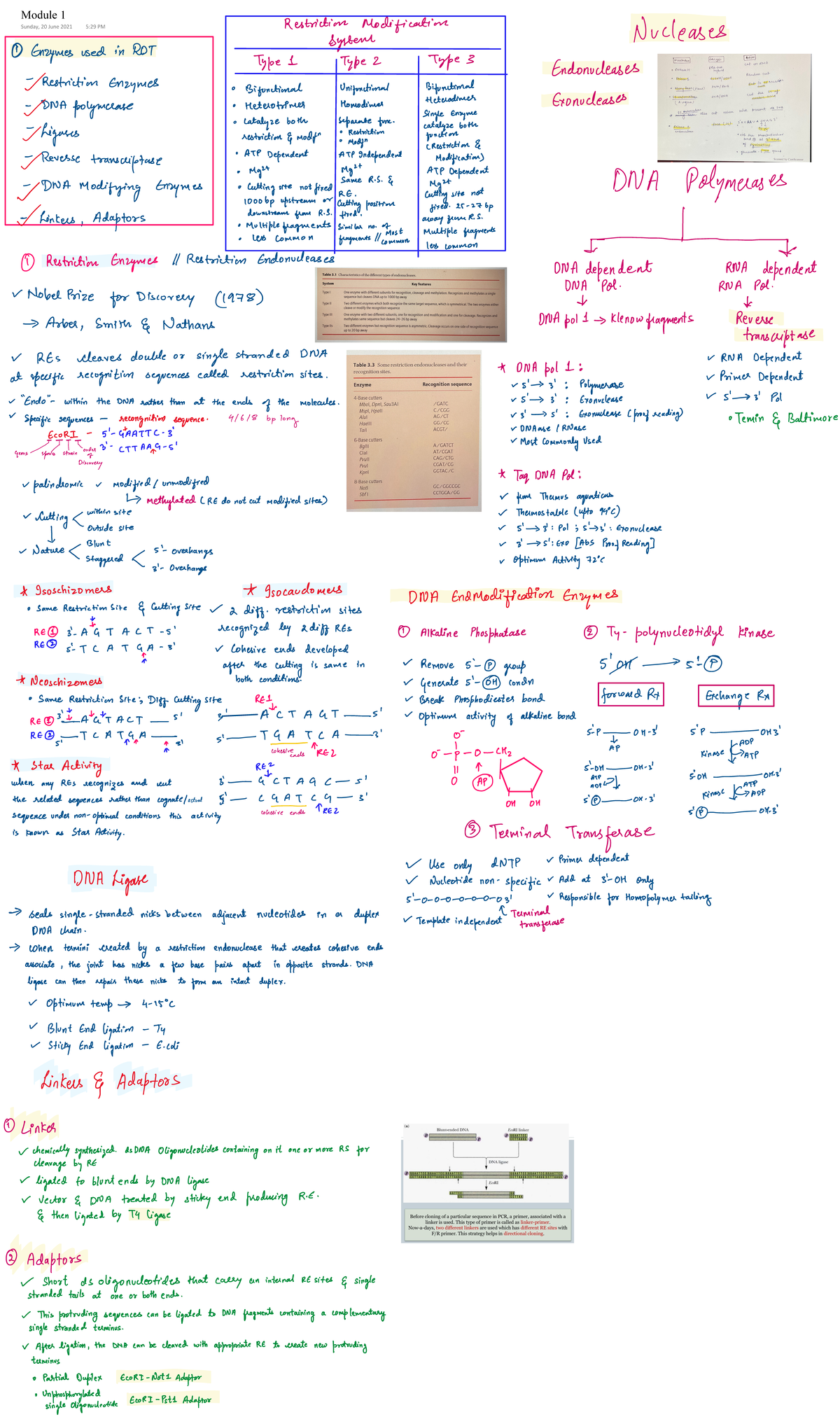 Module 1 - it includes Restriction enzymes, ligases, Modification ...