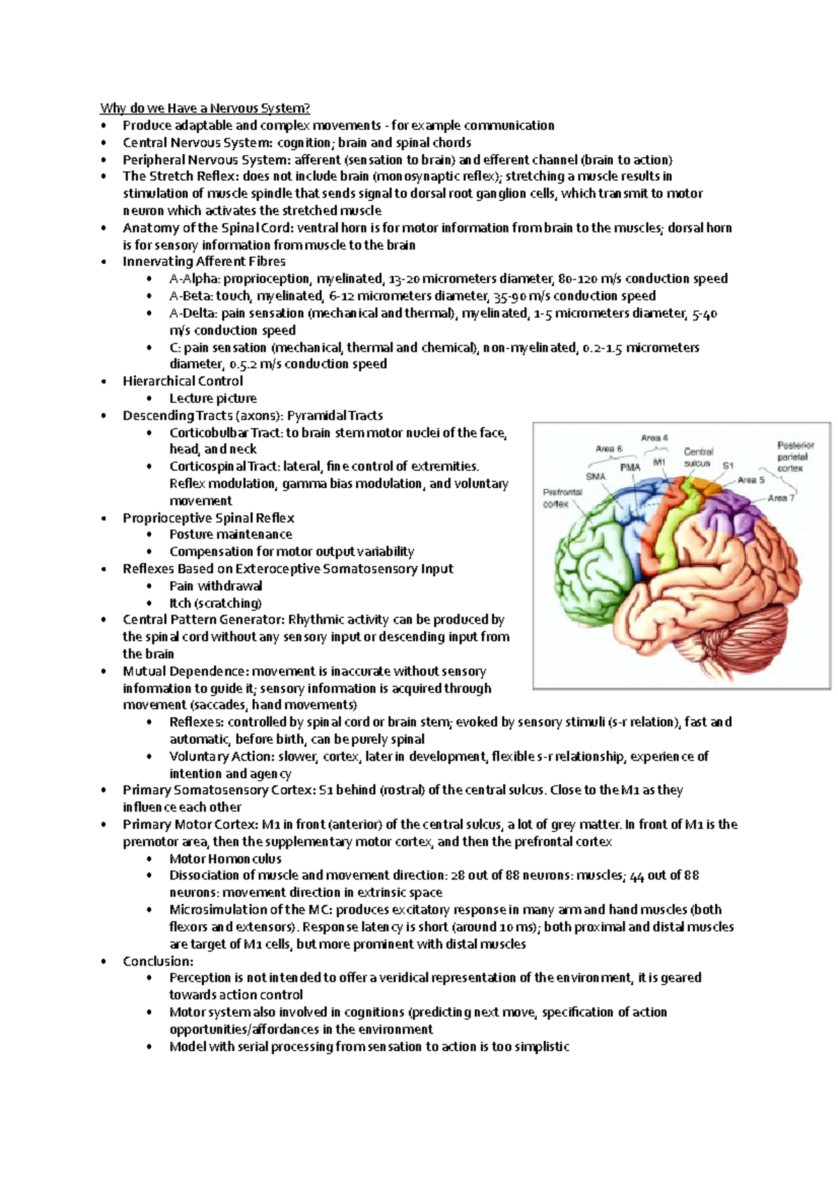 why-do-we-have-a-nervous-system-why-do-we-have-a-nervous-system