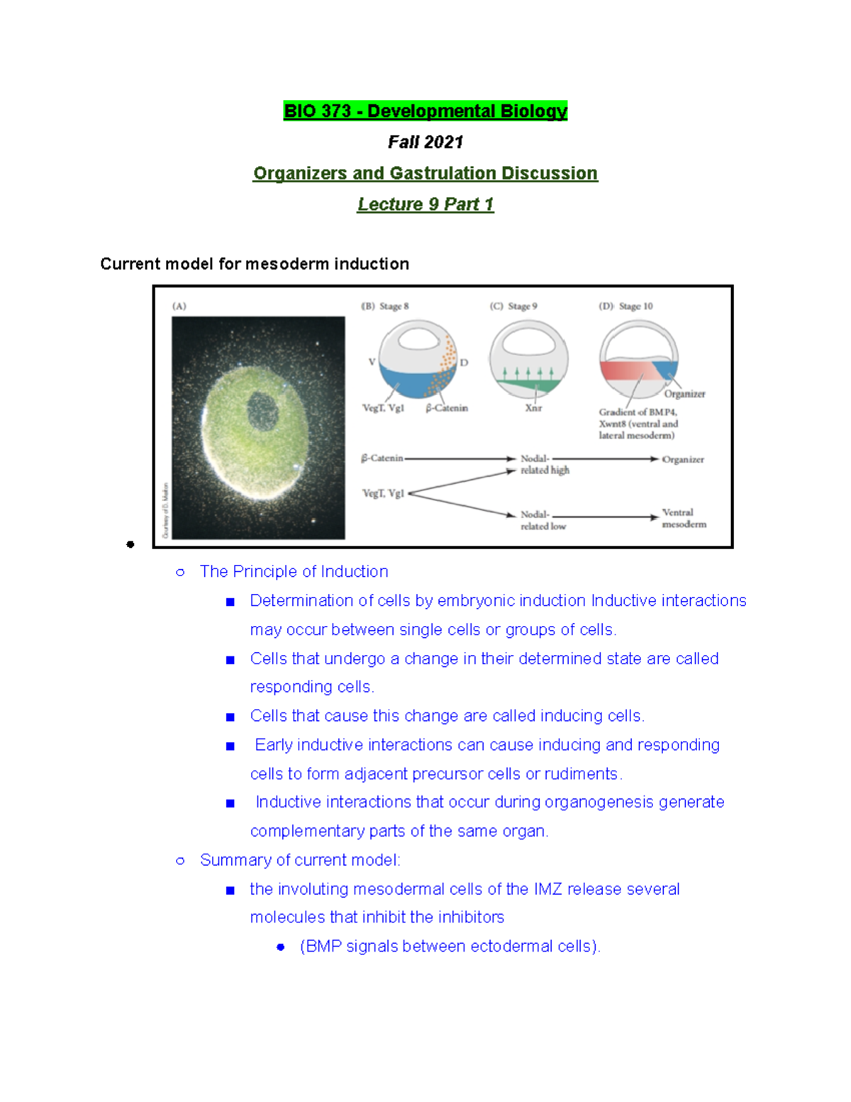 BIO 373 Lecture 9 Part 1 - Fall 2021 - BIO 373 - Studocu