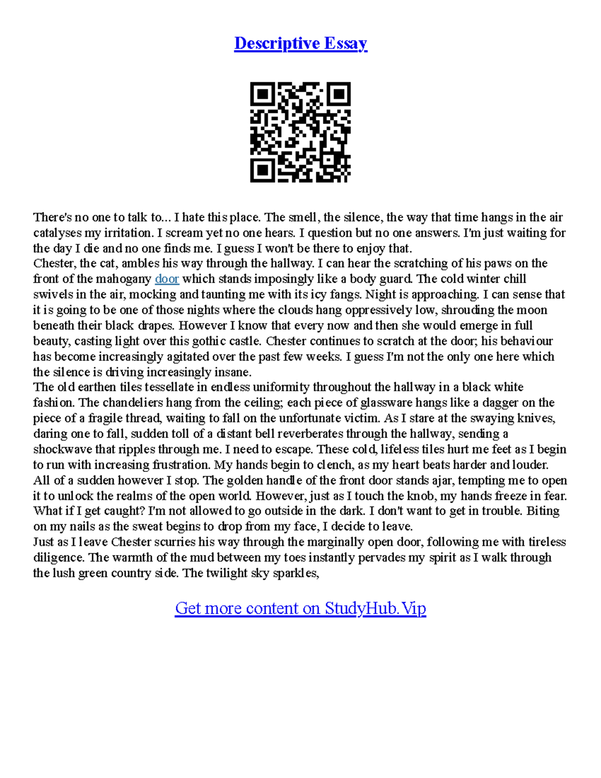 How To Conclude A Descriptive Essay Descriptive Essay There's no