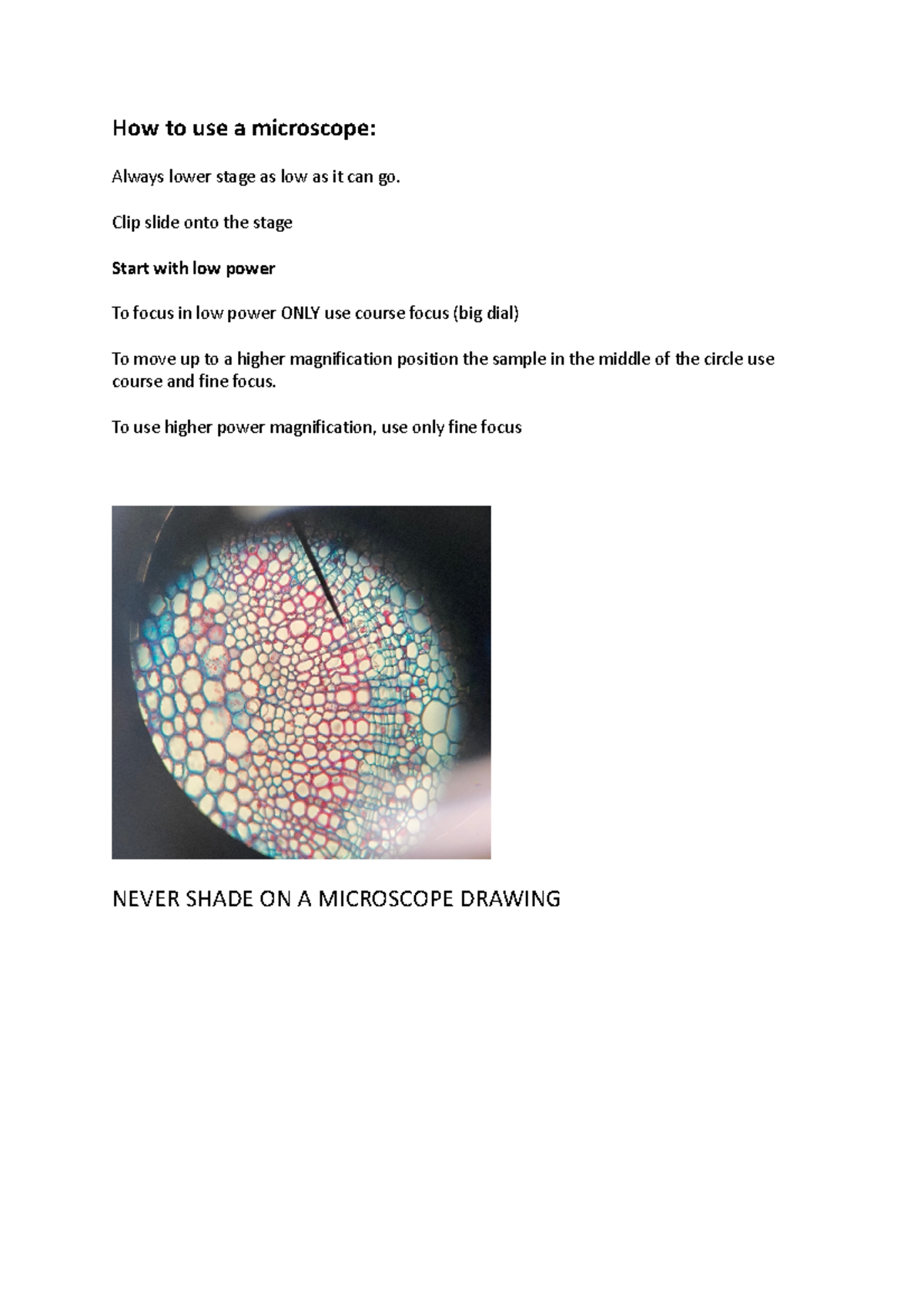 How to use a microscope biology How to use a microscope Always