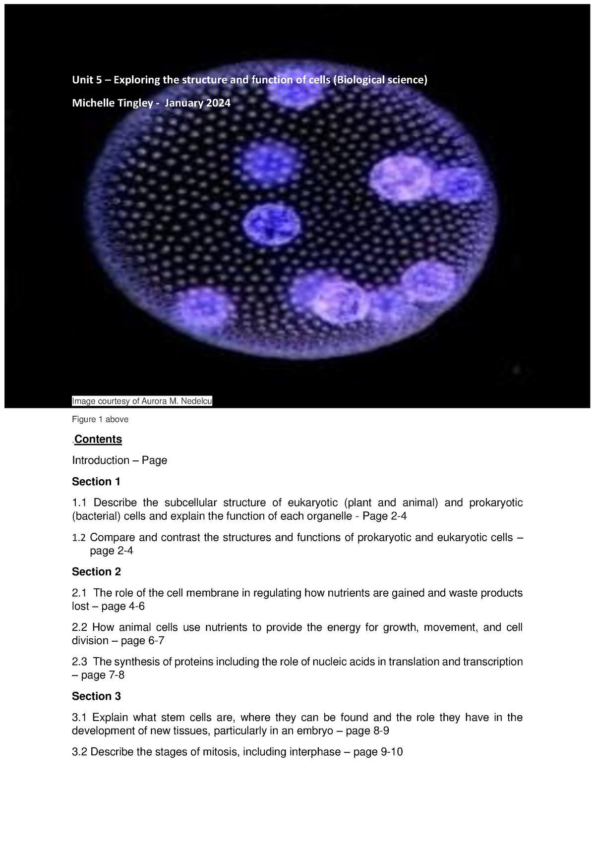 Unit 5 Cell Biology Re Sub 1 - Unit 5 – Exploring The Structure And ...