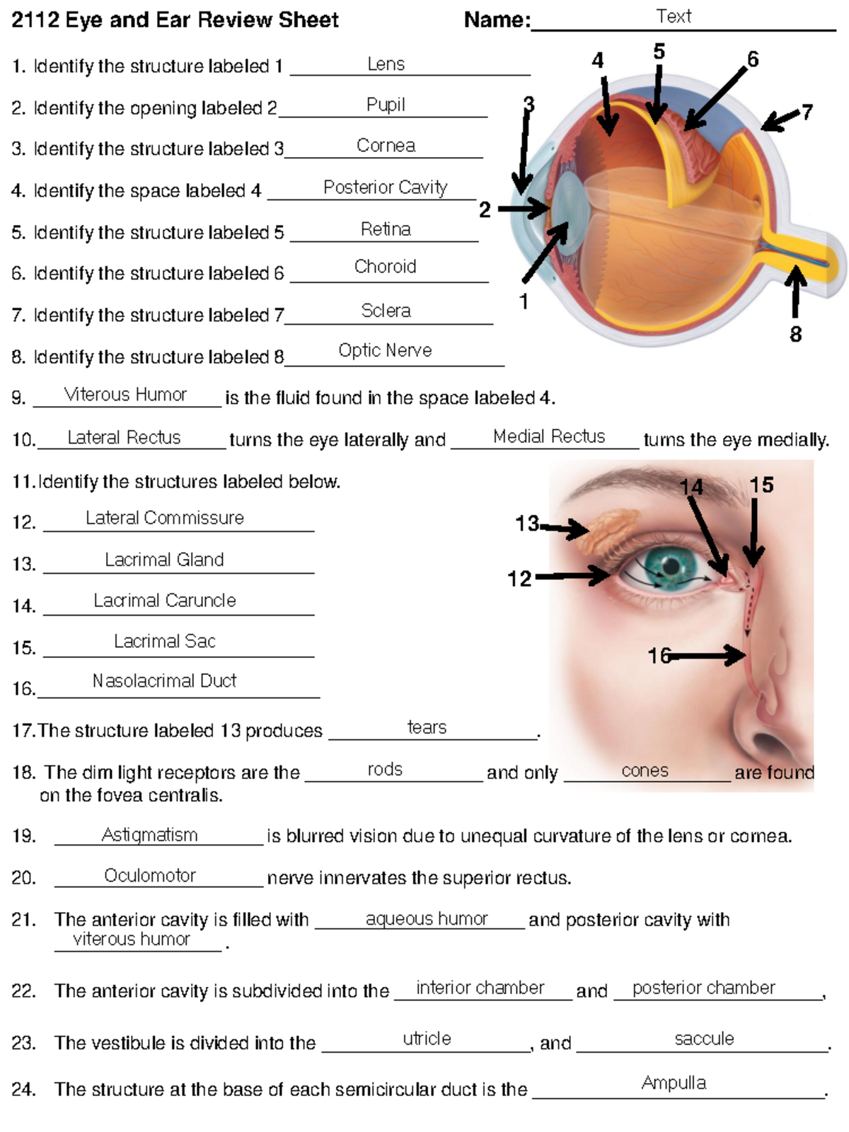 2112 Eye and Ear Review - Assignment. - Identify the structure labeled ...