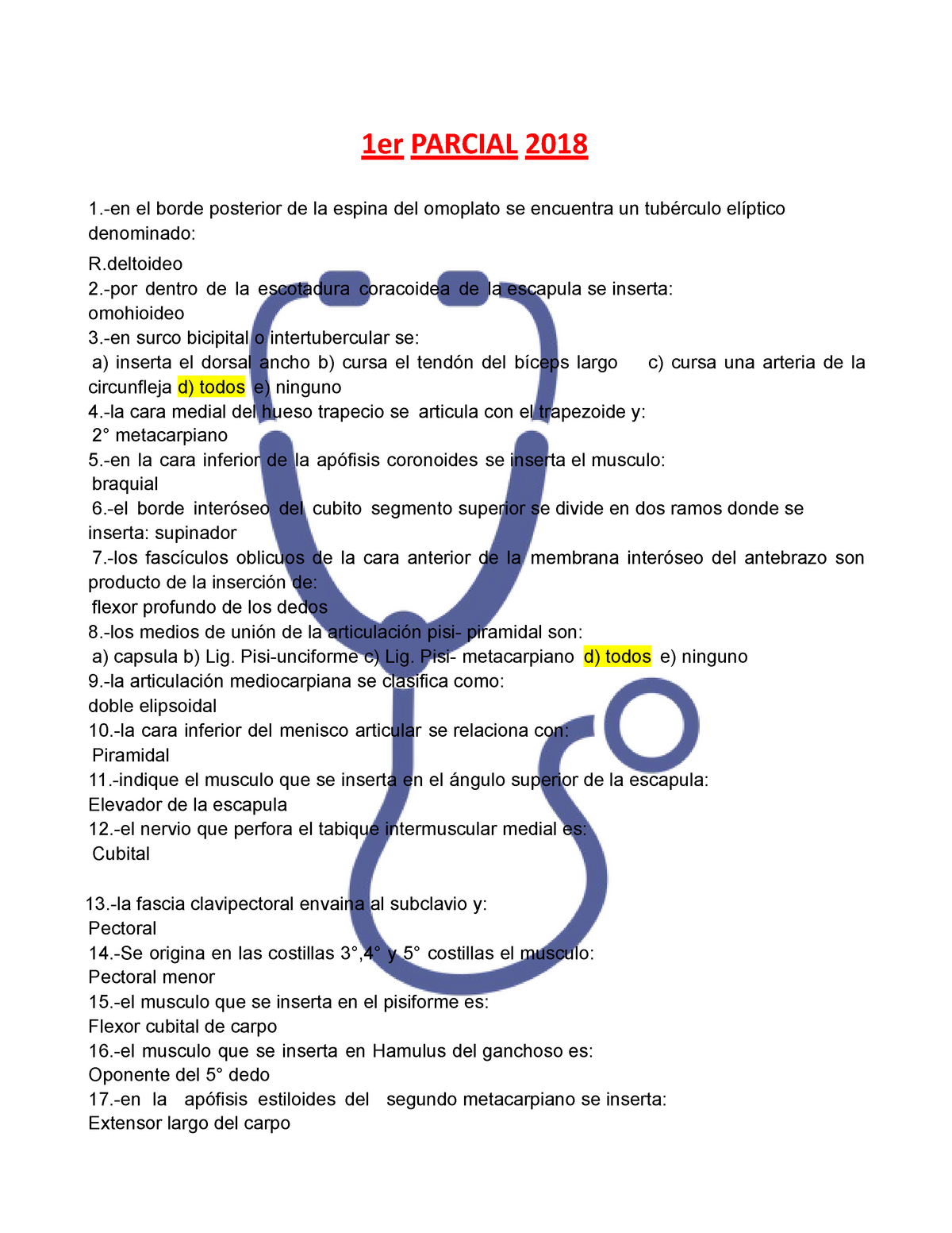 Primer Parcial Examen De Anatomia Er PARCIAL En El Borde Posterior De La