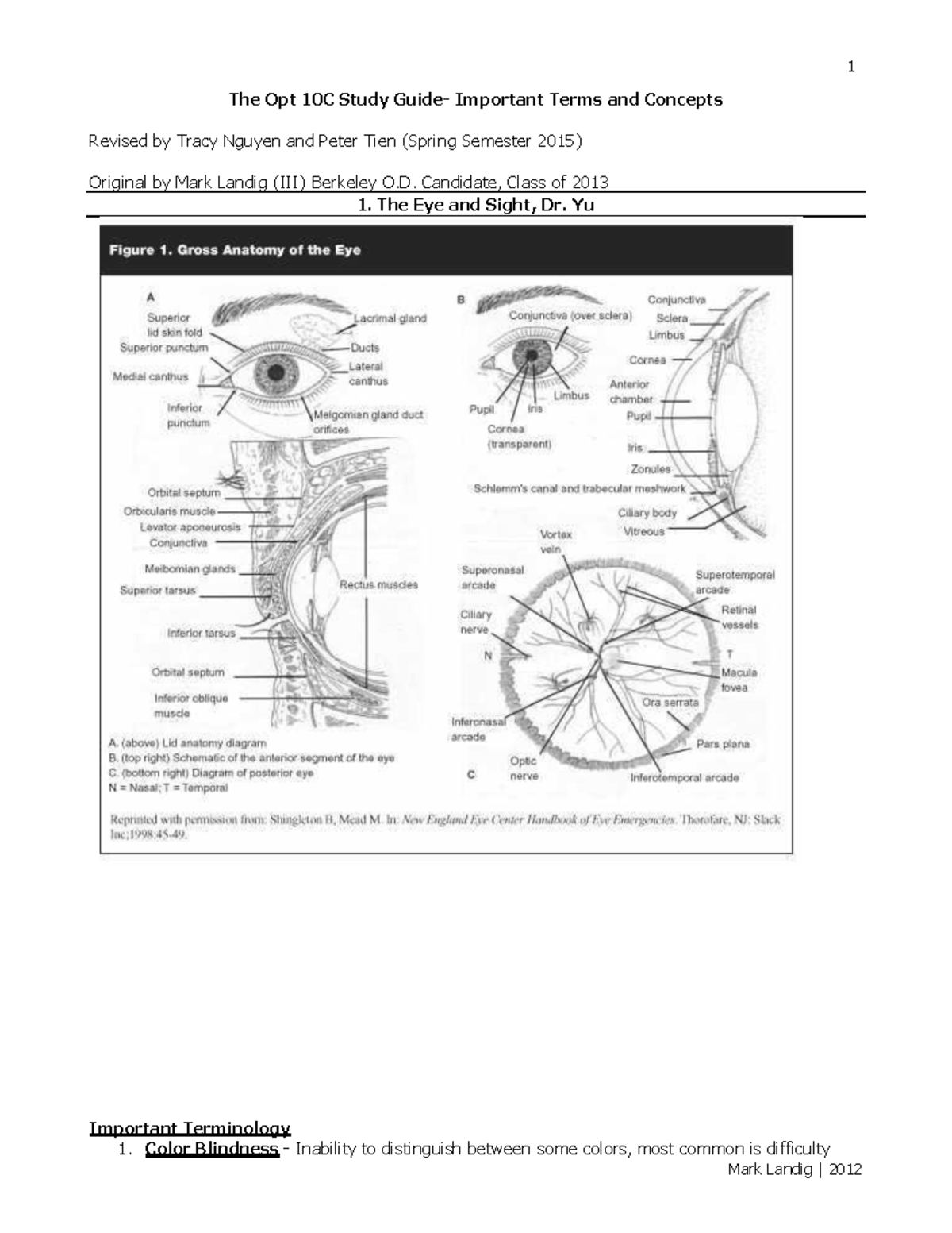 The Ophthalmology 10C Study Guide Important Terms and Concepts The