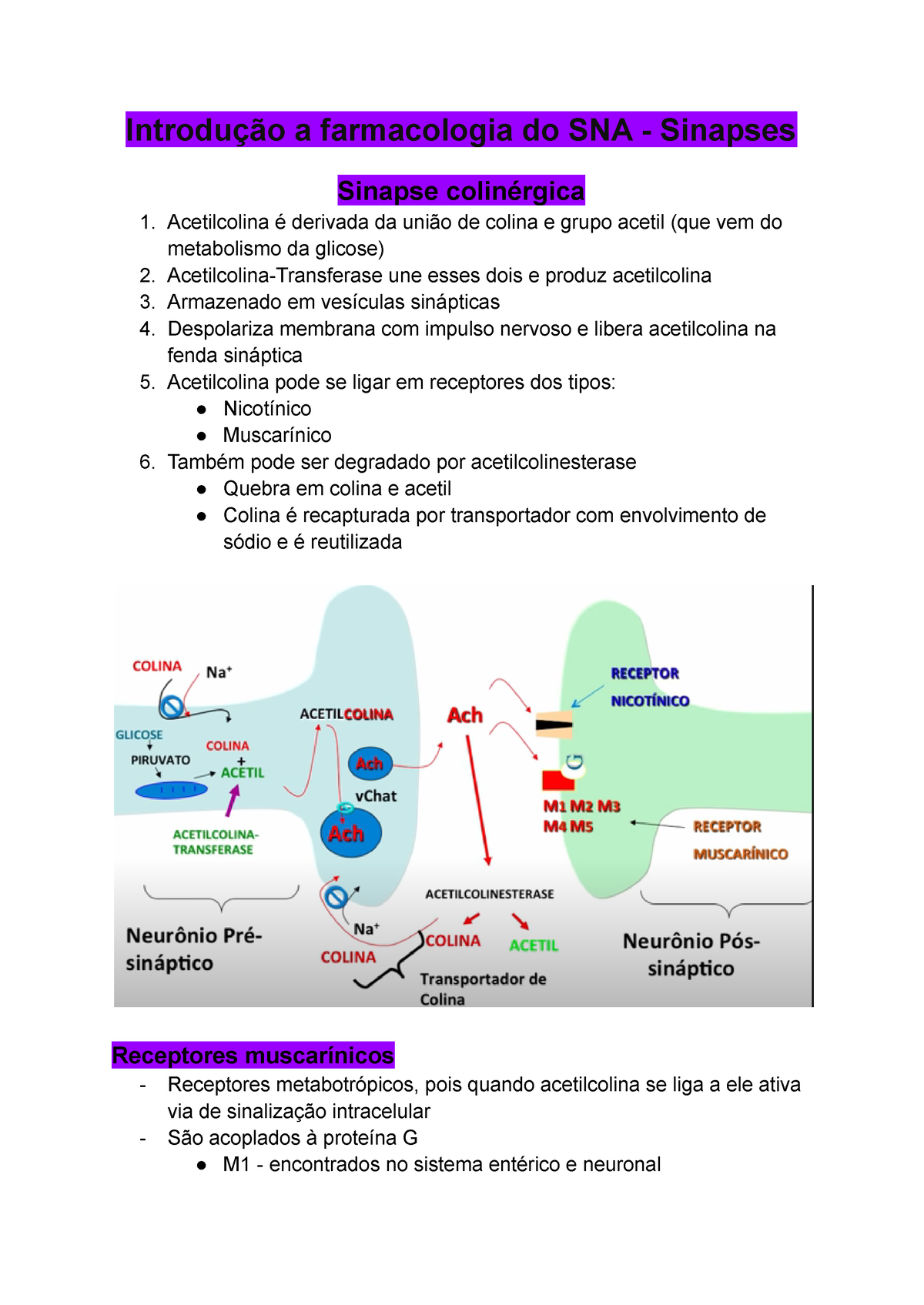 Resumo DE Farmacologia Cardiaca - RESUMO DE Pode ser de dois tipos: 1)  derivada de um problema que - Studocu