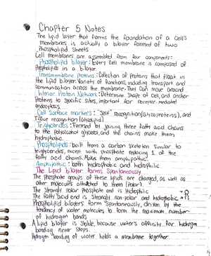 Chapter 3 notes - BIOL 1013 - Studocu