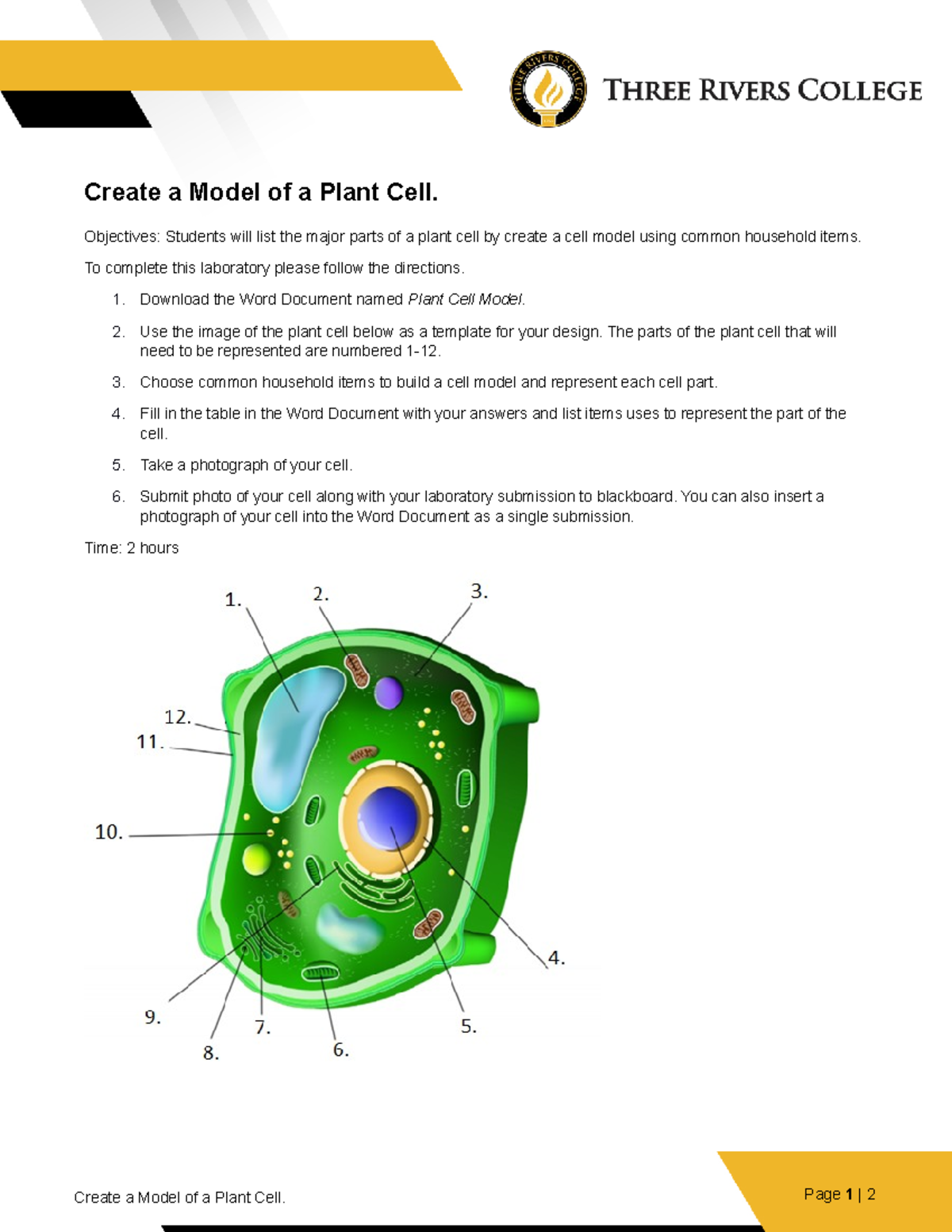 plant-cell-model-lab-create-a-model-of-a-plant-cell-objectives