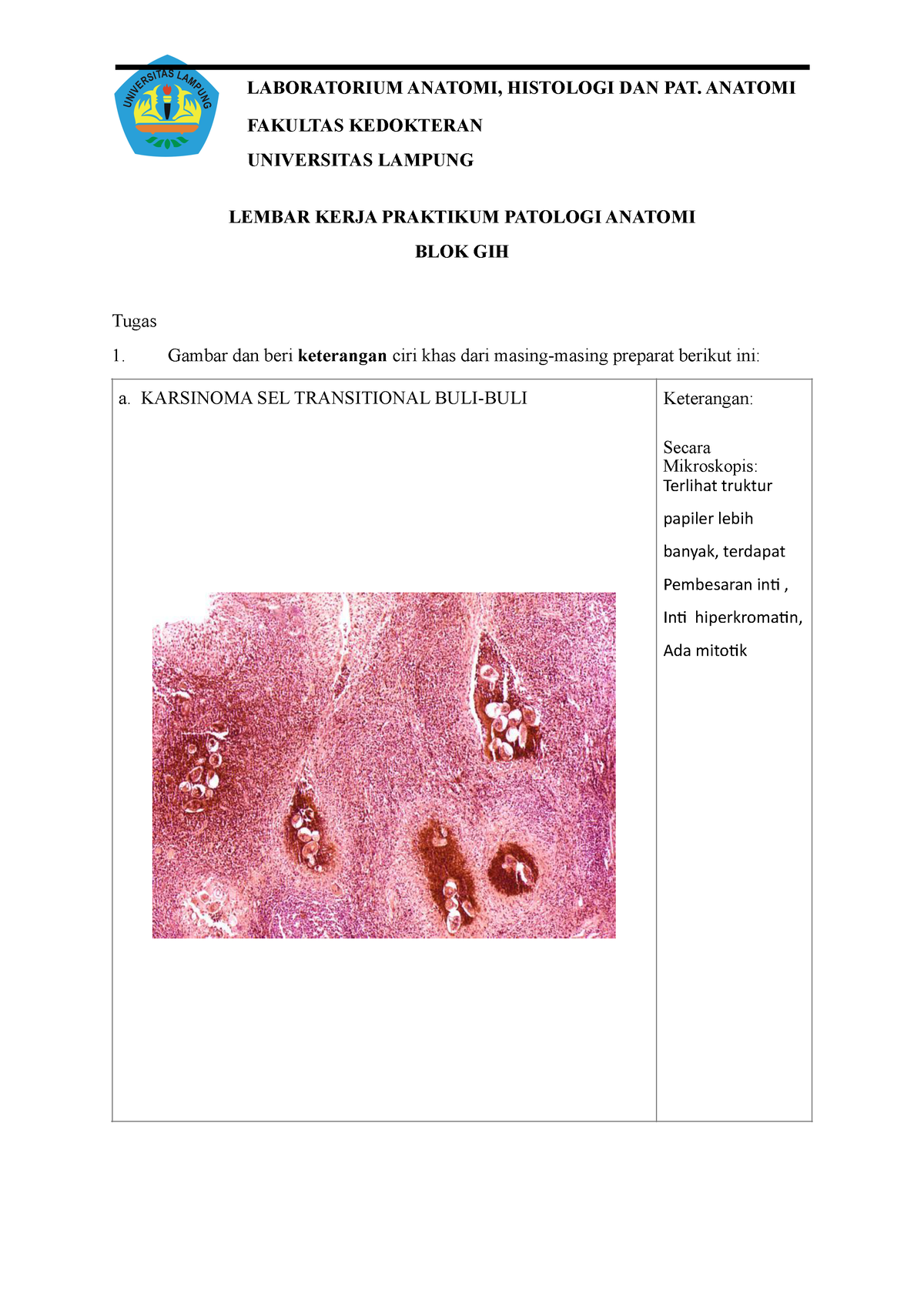 Lembar Kerja Praktikum Patologi Anatomi Blok Gih Fakultas Kedokteran