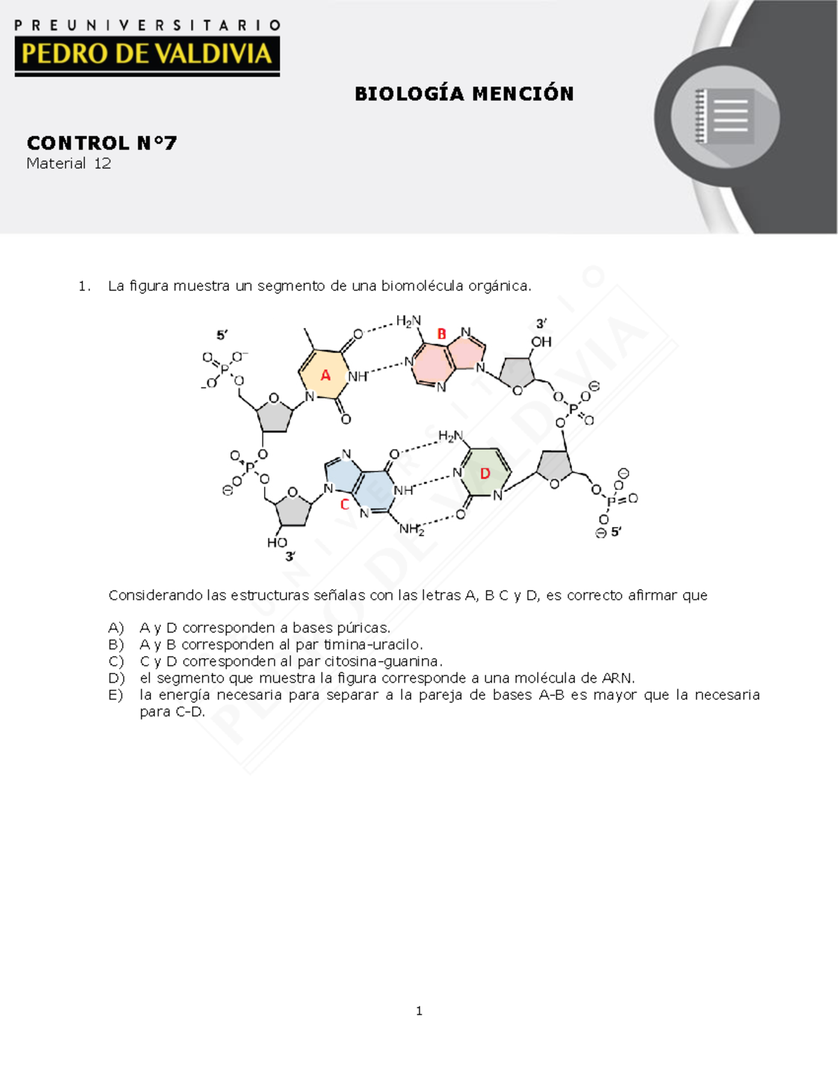 Index 95 Hola Biologia De La Celula Bio La Figura Muestra Un Segmento De Una Biomol Cula Org Nica Considerando Las Estructuras Se Alas Con Las Letras Es Studocu