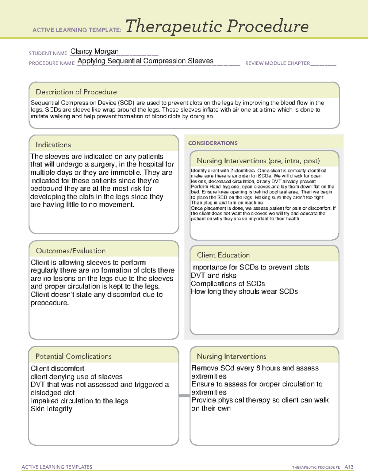 SCDs ALT - ALT - ACTIVE LEARNING TEMPLATES THERAPEUTIC PROCEDURE A ...