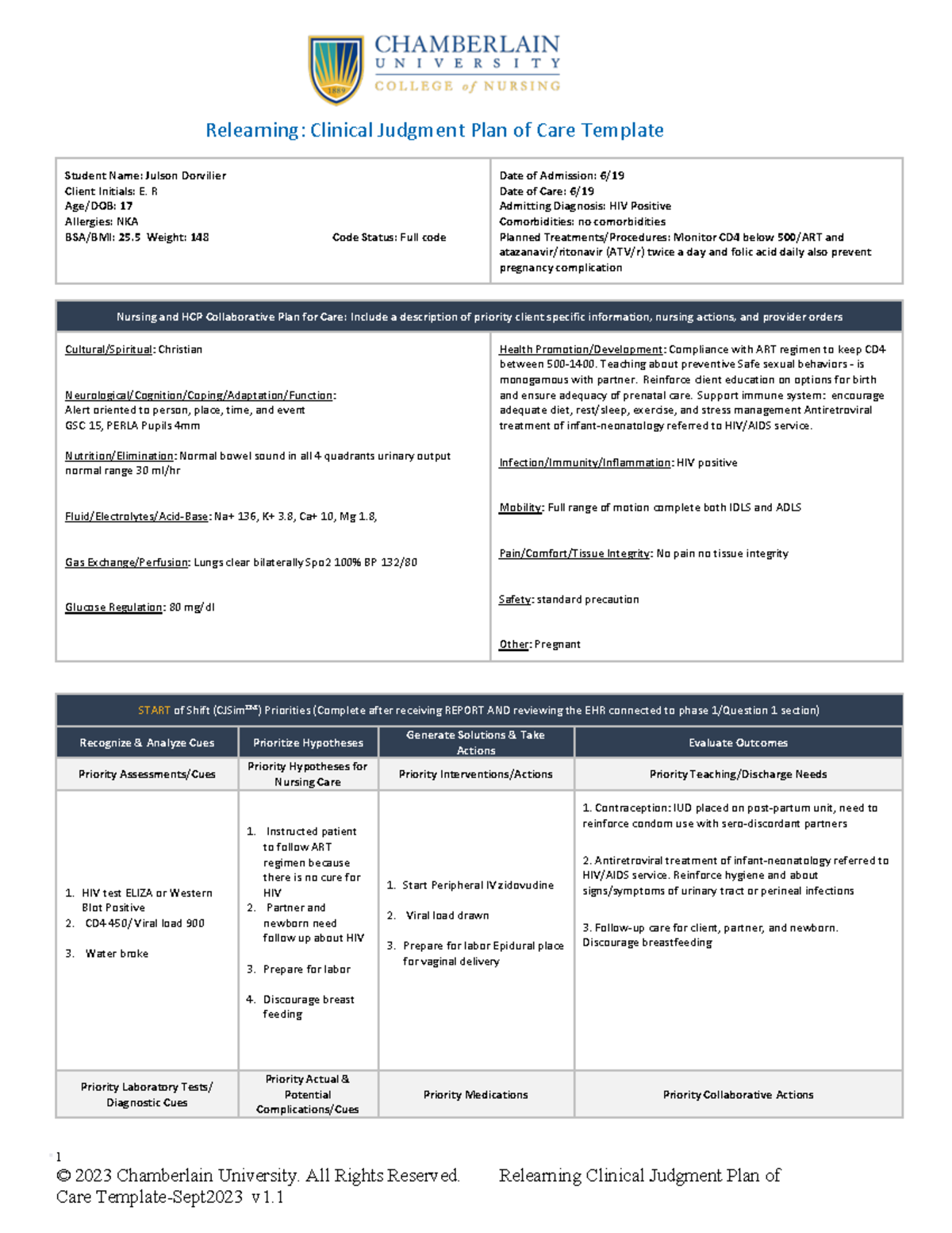 Relearning Clinical Judgment Plan of Care Template Febuarary 2024