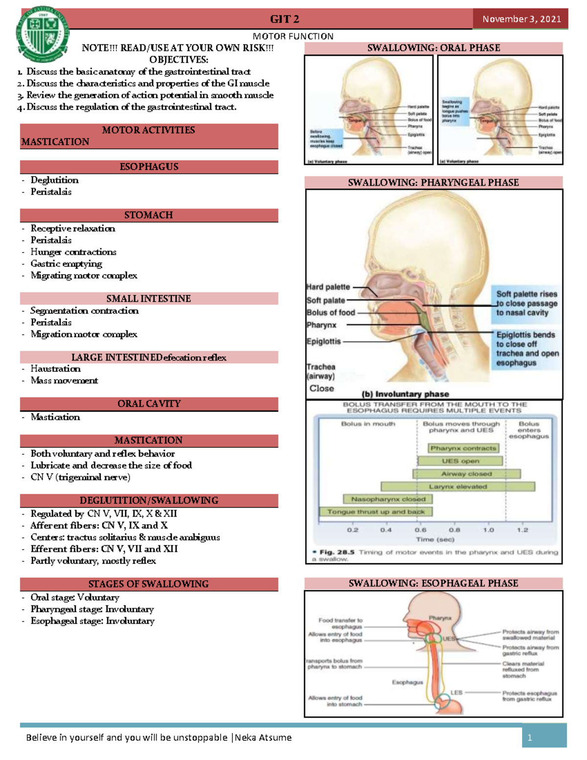 Motor Function Anatomy - MOTOR FUNCTION NOTE!!! READ/USE AT YOUR OWN ...