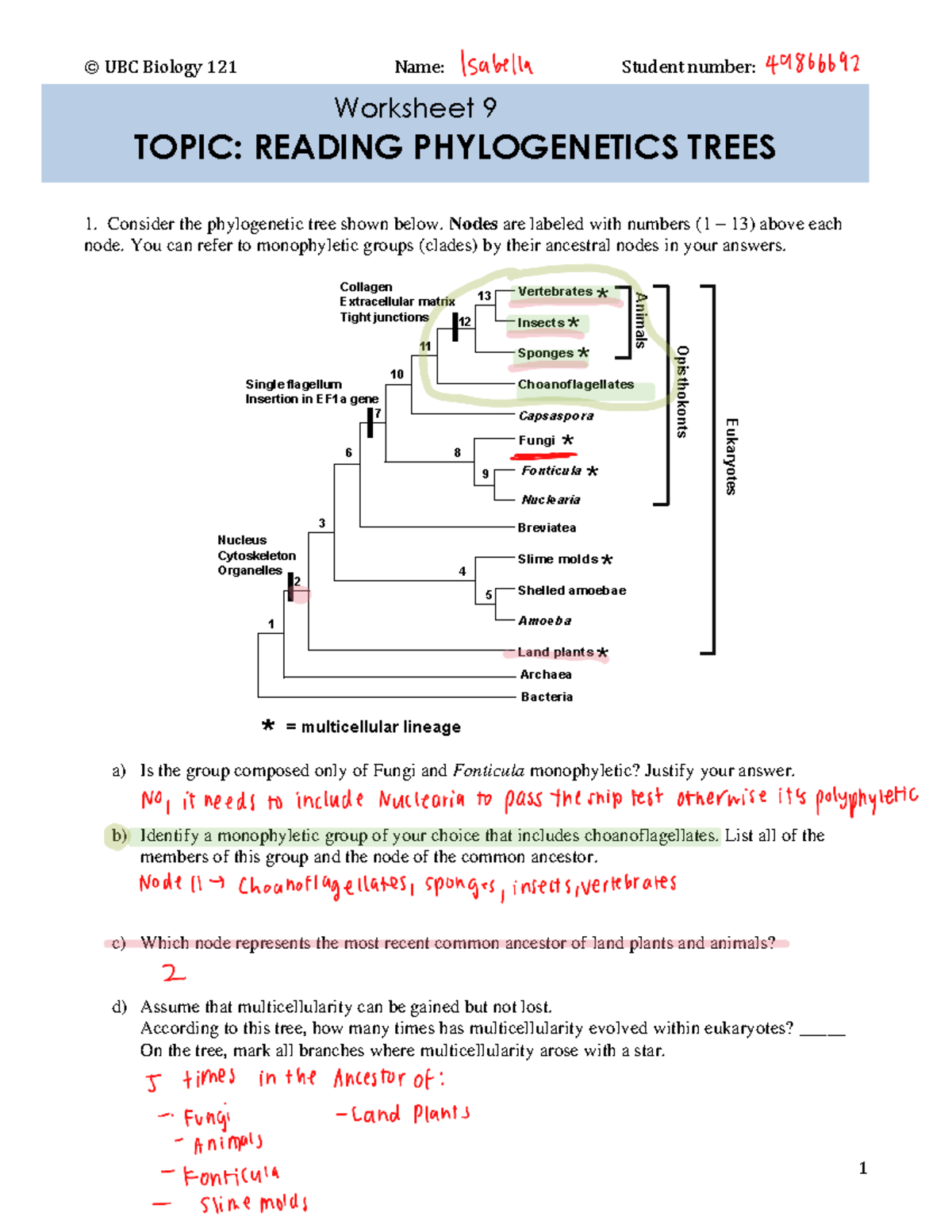 Worksheet 9 phylogenetic tree 240313 122033 - © UBC Biology 121 Name
