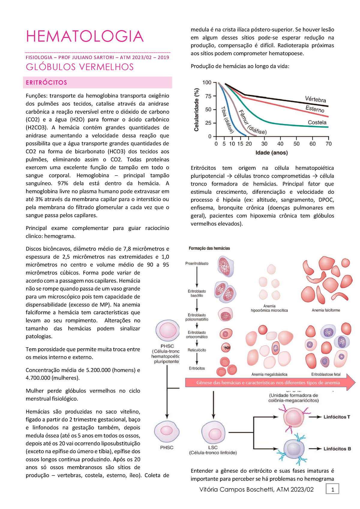 HC - LABREPTransmigração de gametas. Estudo da salpingectomia