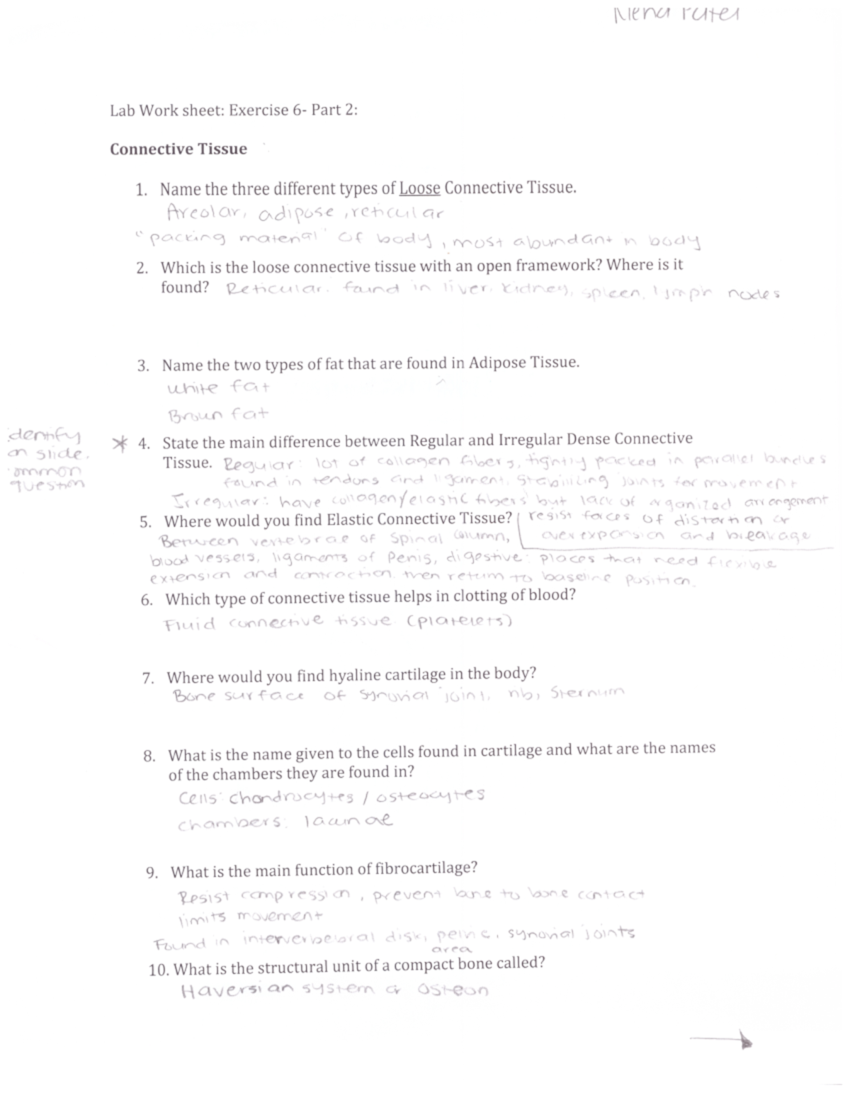A&P I Lab Excercise 6- Connective Tissue (Pt 1) - BIOL 3455 - Studocu