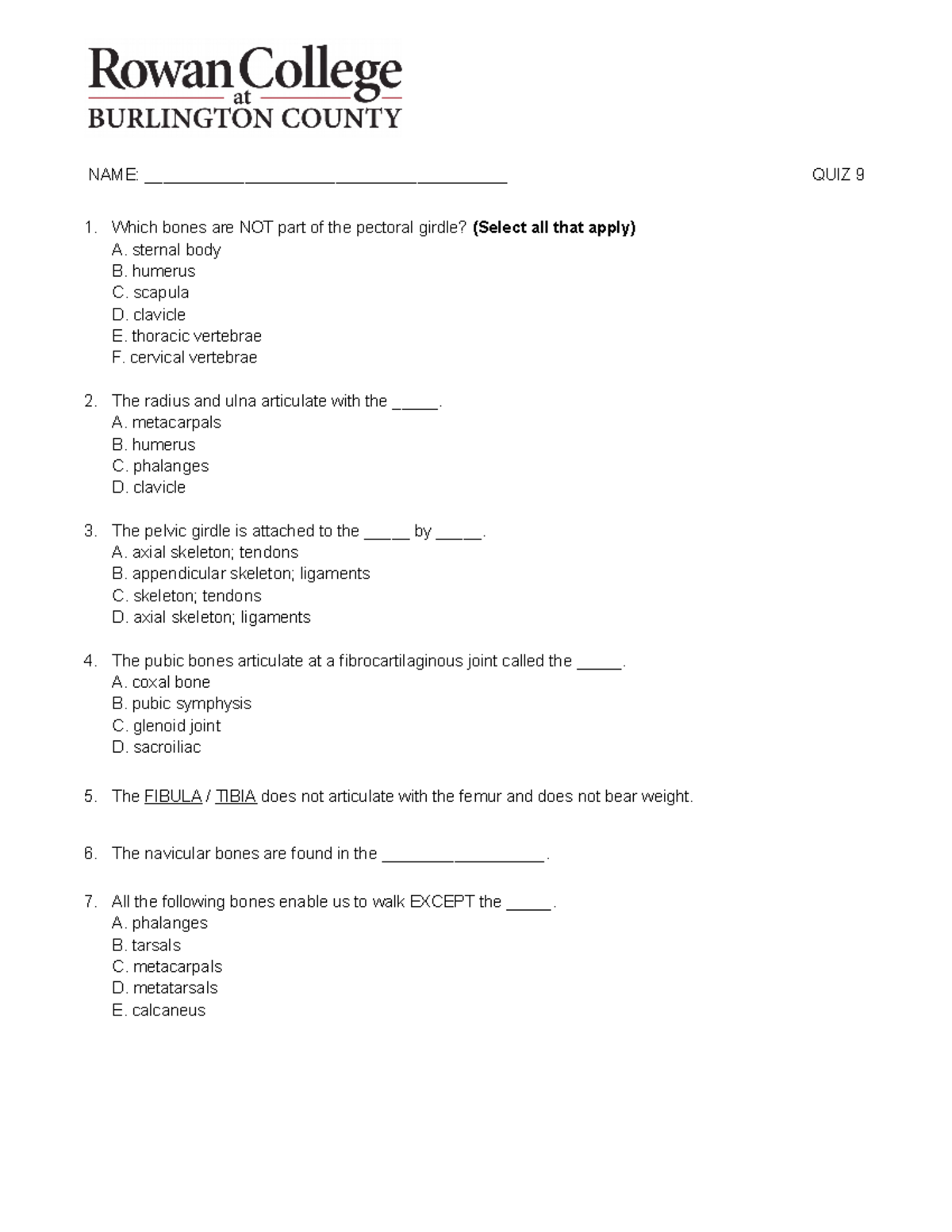 Pectoral Girdle Quiz