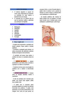 Resumo Sobre A Anatomia Do Sistema Digestorio Studocu