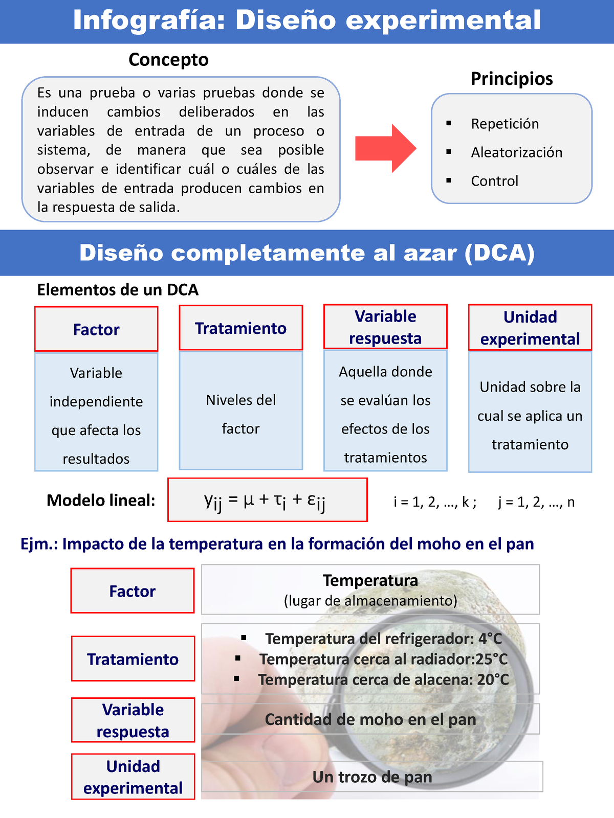 Infografia de diseño experimental - InfografÌa: DiseÒo experimental Es una  prueba o varias pruebas - Studocu