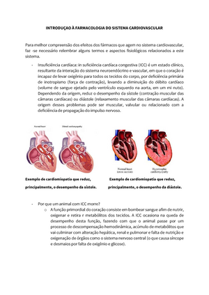 Resumo DE Farmacologia Cardiaca - RESUMO DE Pode ser de dois tipos: 1)  derivada de um problema que - Studocu