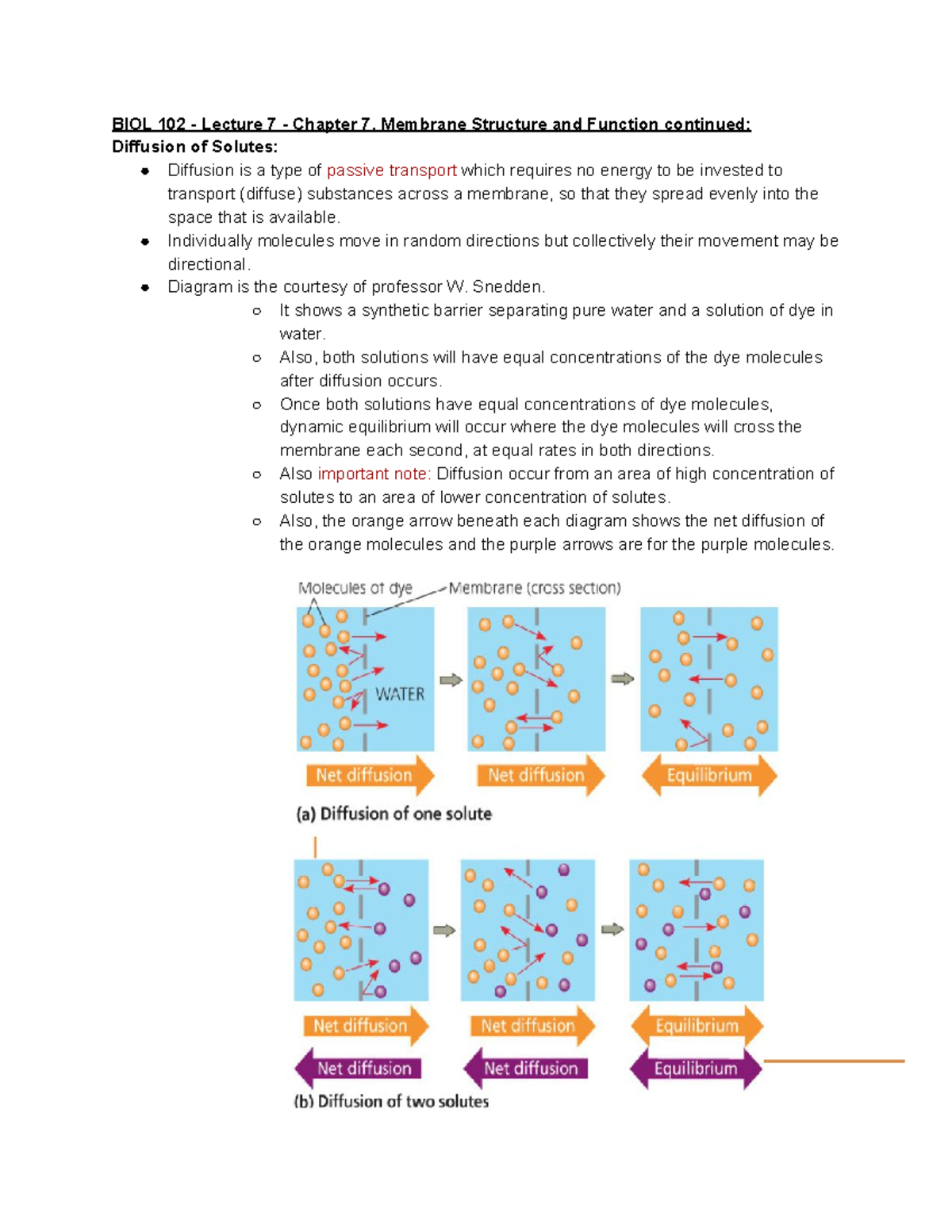 Bio 102 Lecture 7 Notes - - Studocu