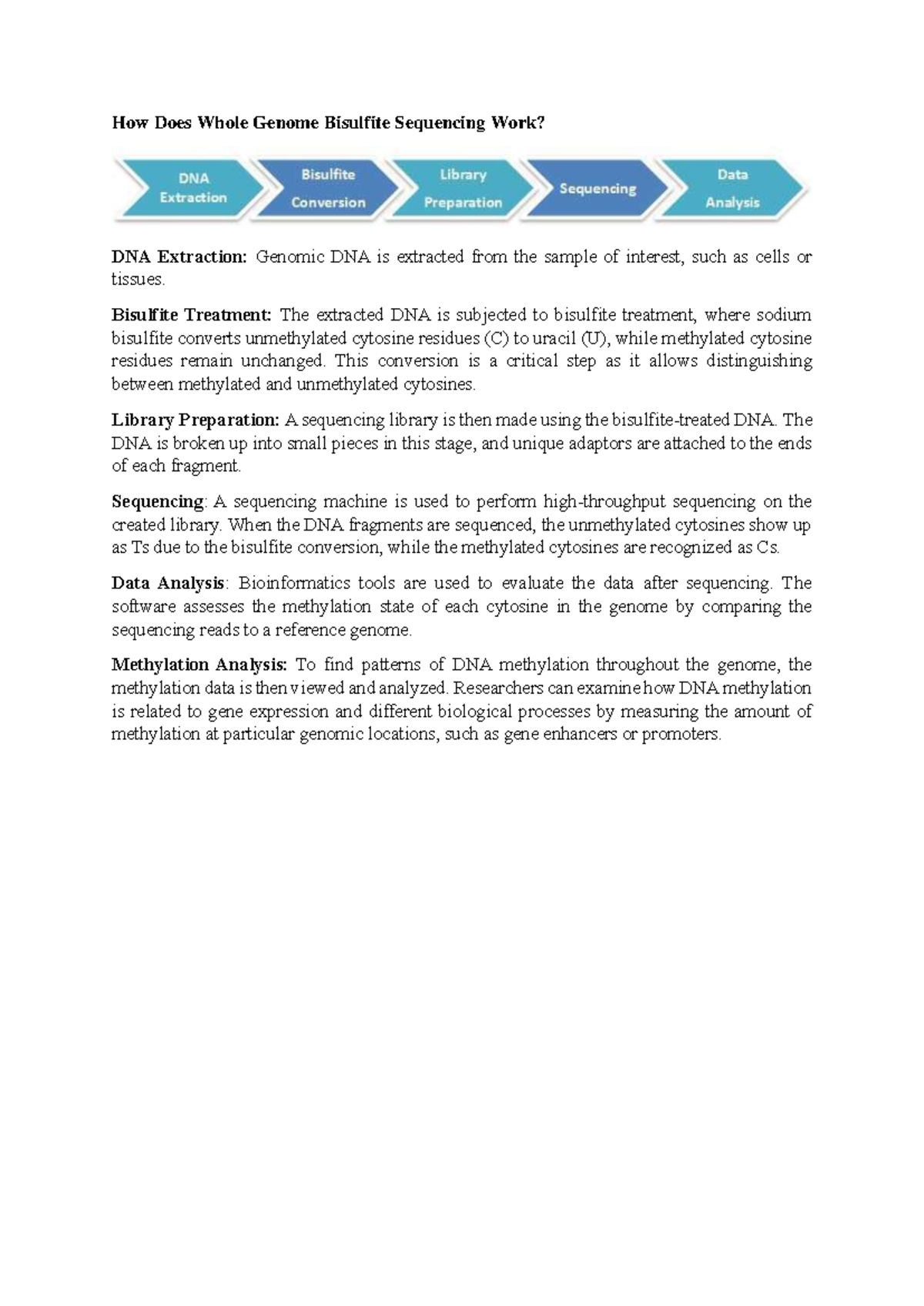 How Does Whole Genome Bisulfite Sequencing Work - Bisulfite Treatment ...