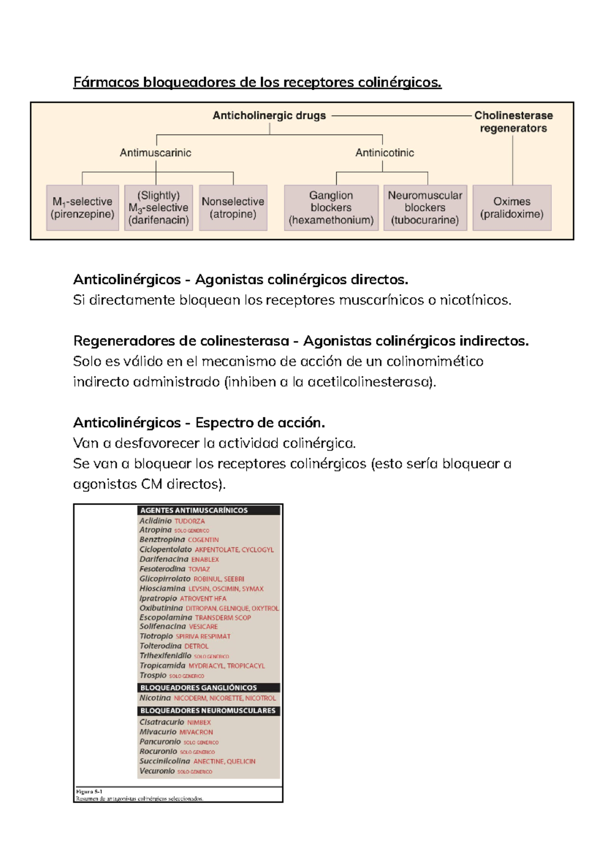 Capítulo 8 - Fármacos bloqueadores de los receptores colinérgicos