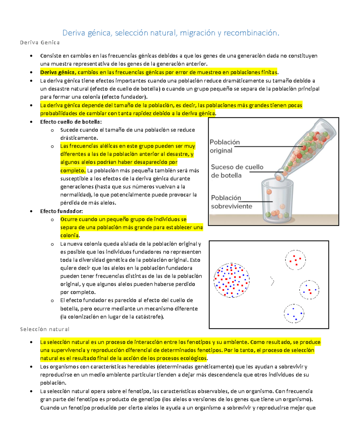 Deriva génica (resumen) Deriva natural, y Deriva Genica Consiste en