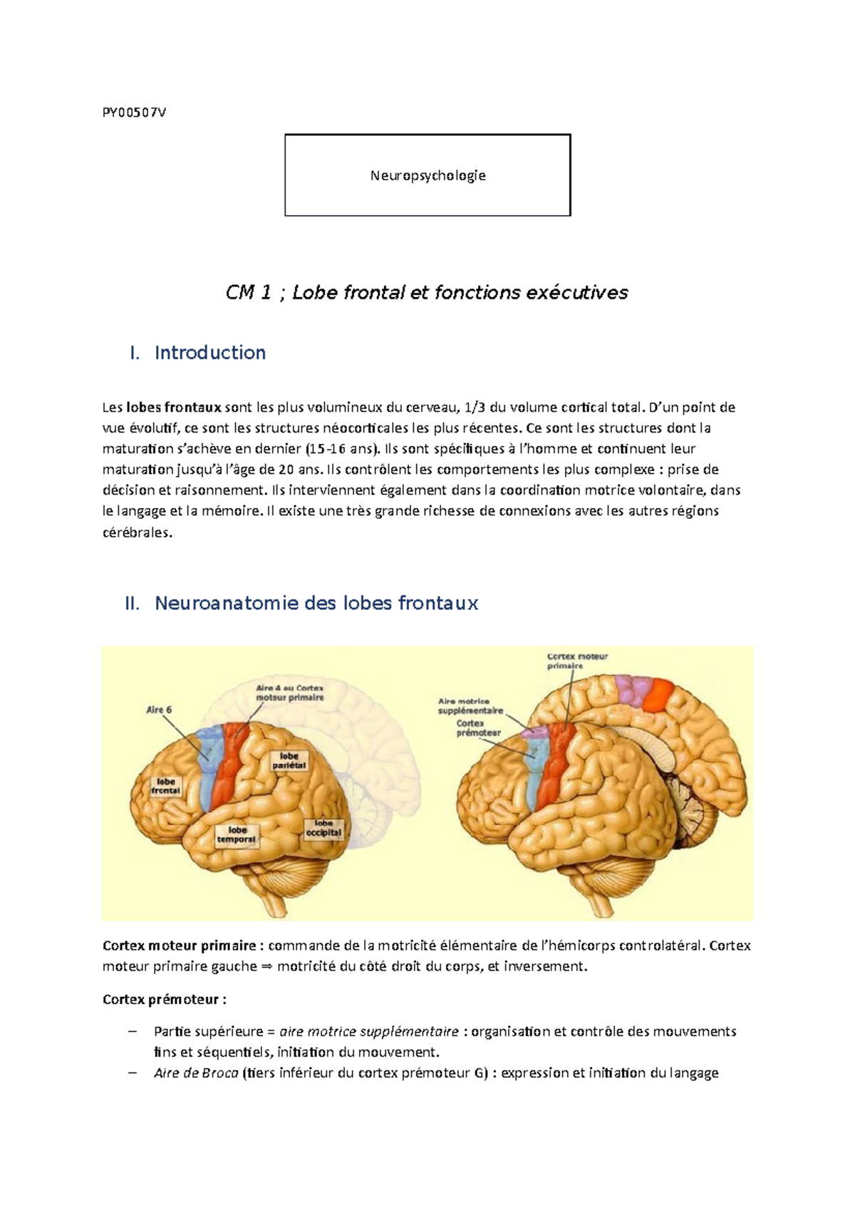 Neuropsychologie - PY00507V Neuropsychologie CM 1 ; Lobe Frontal Et ...