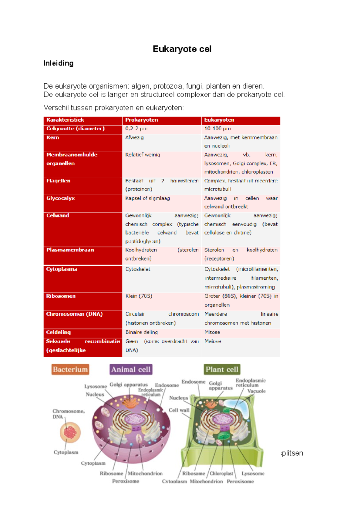 Eukaryote cel samenvatting Eukaryote cel Inleiding De eukaryote