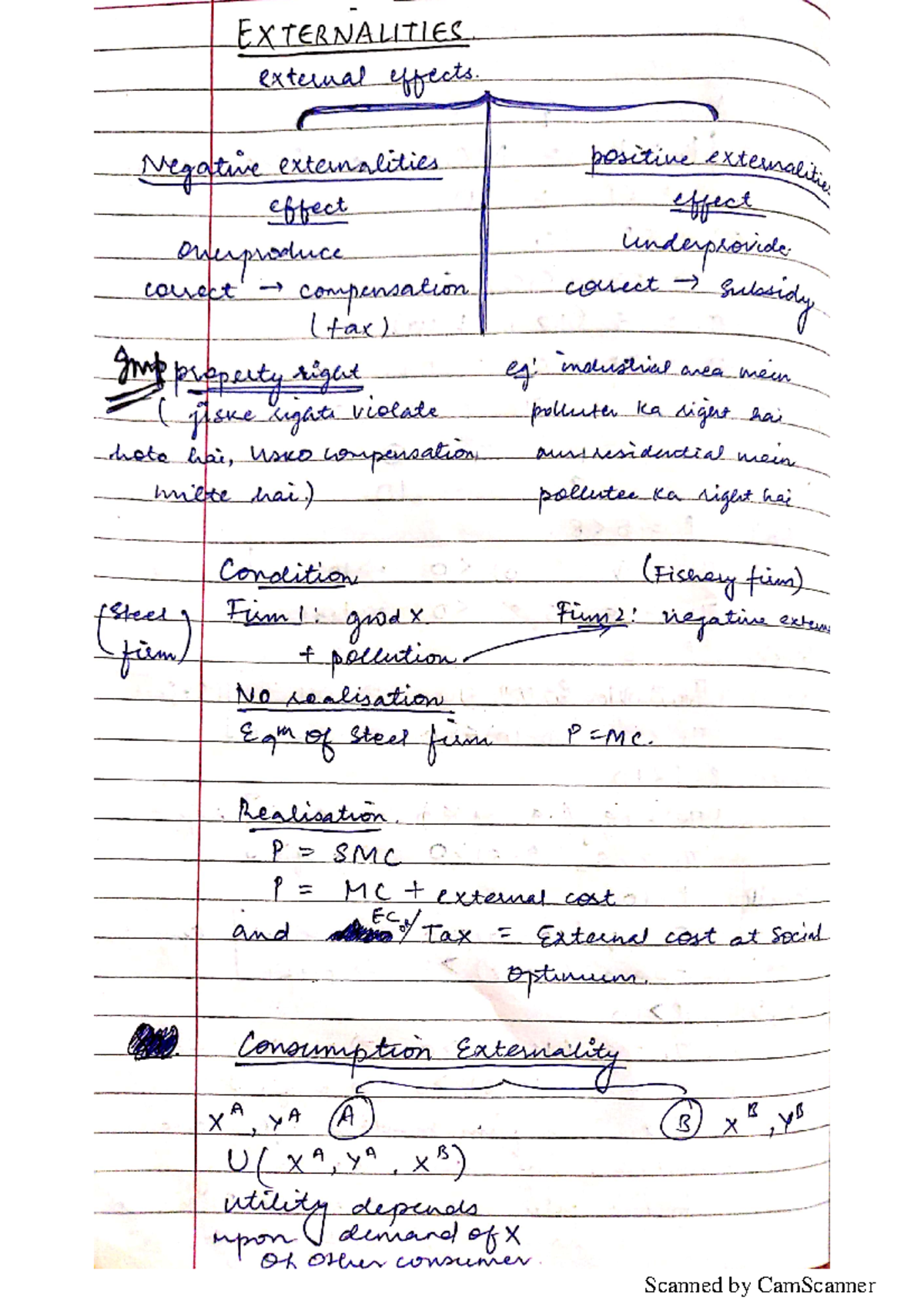 Externality - Summary Public economics - 12277507 - Studocu