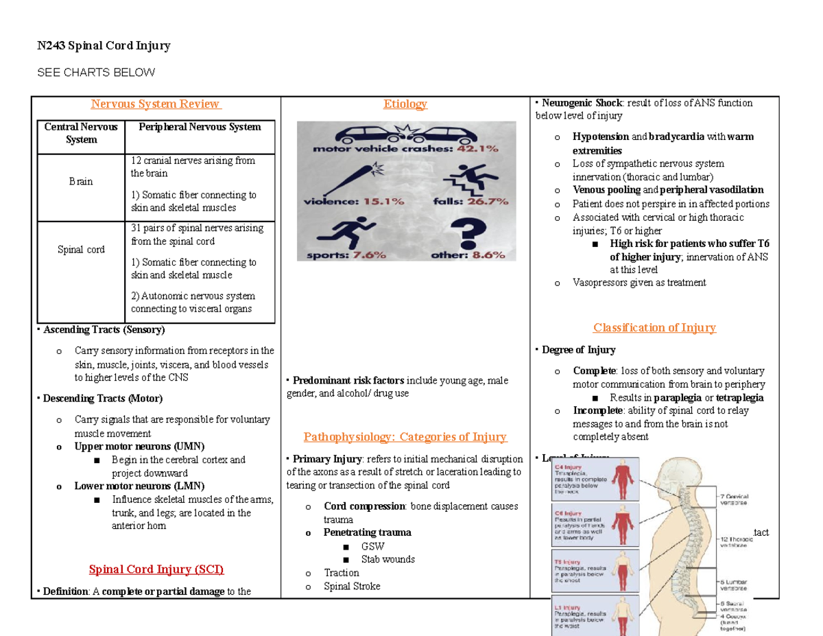 N243 Spinal Cord Injury - SEE CHARTS BELOW Nervous System Review ...