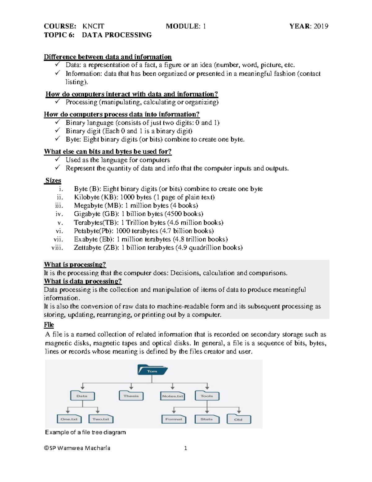 Topic 6 - DATA Processing - TOPIC 6: DATA PROCESSING Difference between ...