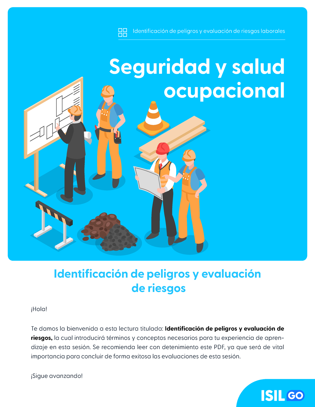 Sso Identificacion De Peligros Y Evaluacion De Riesgos Laborales Seguridad Y Salud Ocupacional 5458