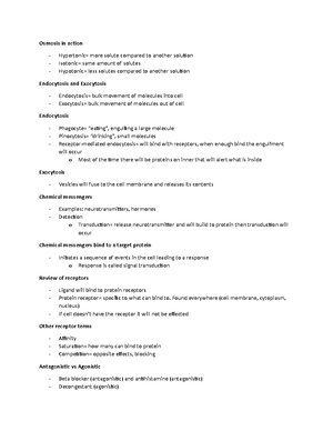 Beginner abs pdf outline (Jeremy Ethier) - ABS TRAINING GUIDELINES ...