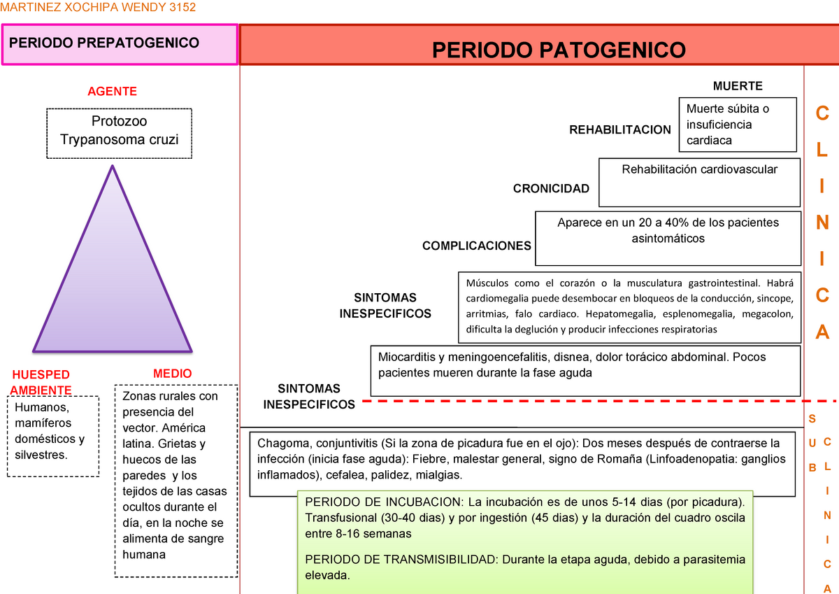 Historia Natural Enfermedad De Chagas Martinez Xochipa Wendy Periodo Patogenico Periodo