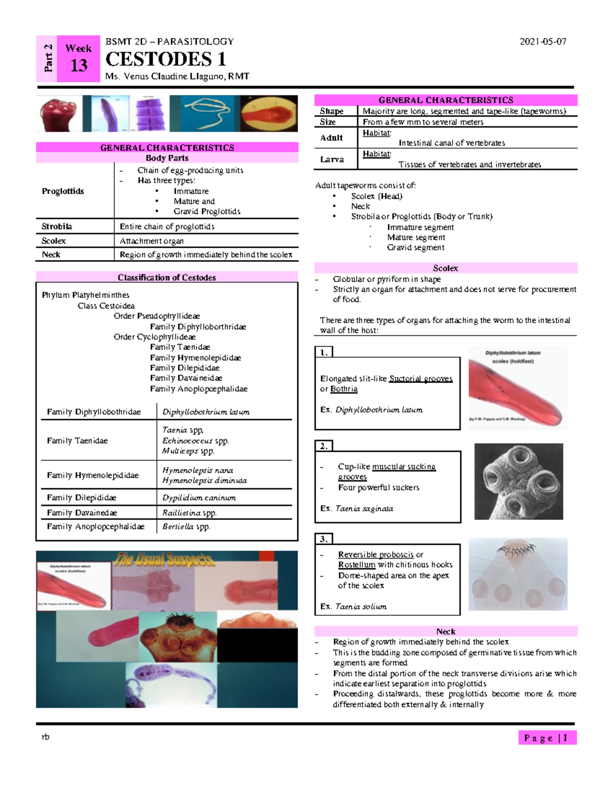 PARA Week 13 pt. 2 - Cestodes 1 - Part 2 Week 13 BSMT 2D 3 PARASITOLOGY ...