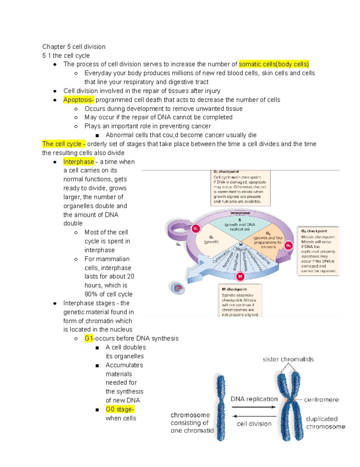 Bio Final Study Guide - Chapter 5 Cell Division 5 The Cell Cycle The ...