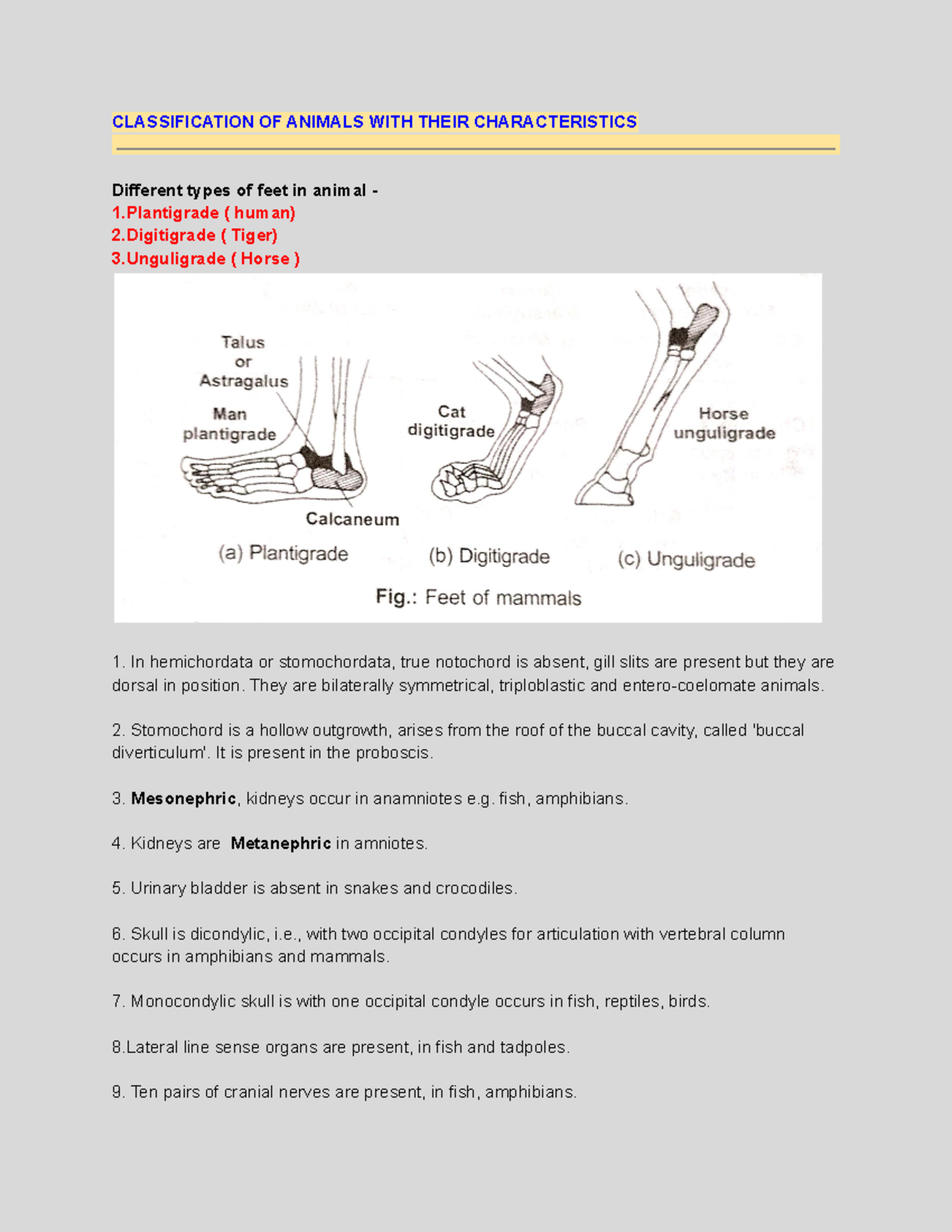 Special characteristics of Animals - CLASSIFICATION OF ANIMALS WITH ...