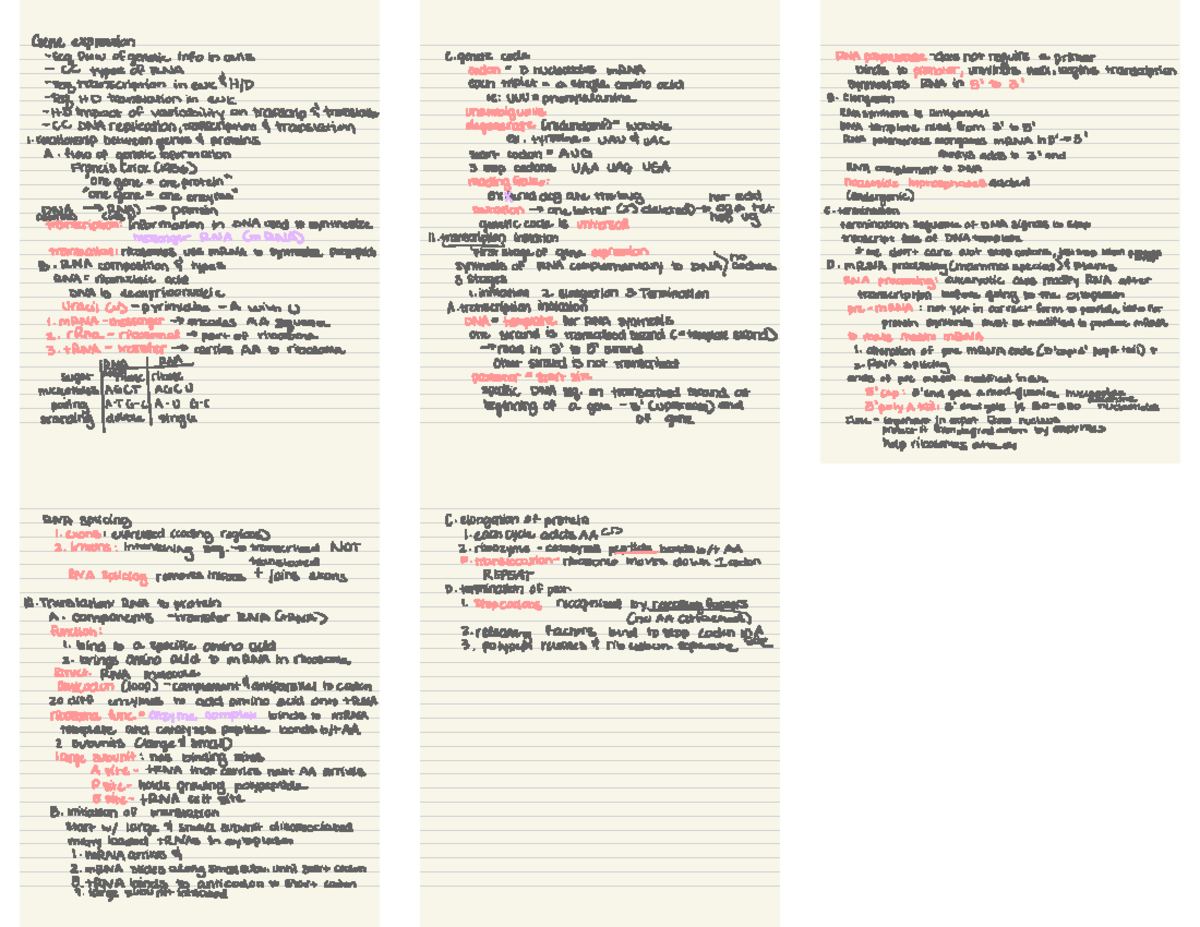 Gene expression notes Gene expression self flow info in