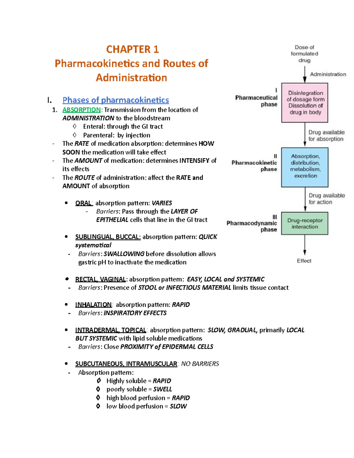 Chapter 1 Ati Good Chapter 1 Pharmacokinetics And Routes Of