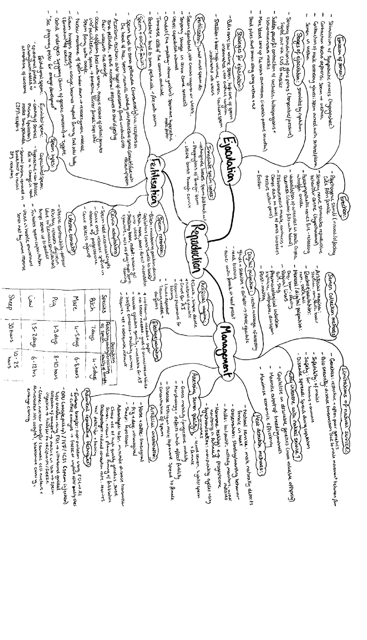 Reproduction - Copulation and fertilisation, pregnancy, parturition ...