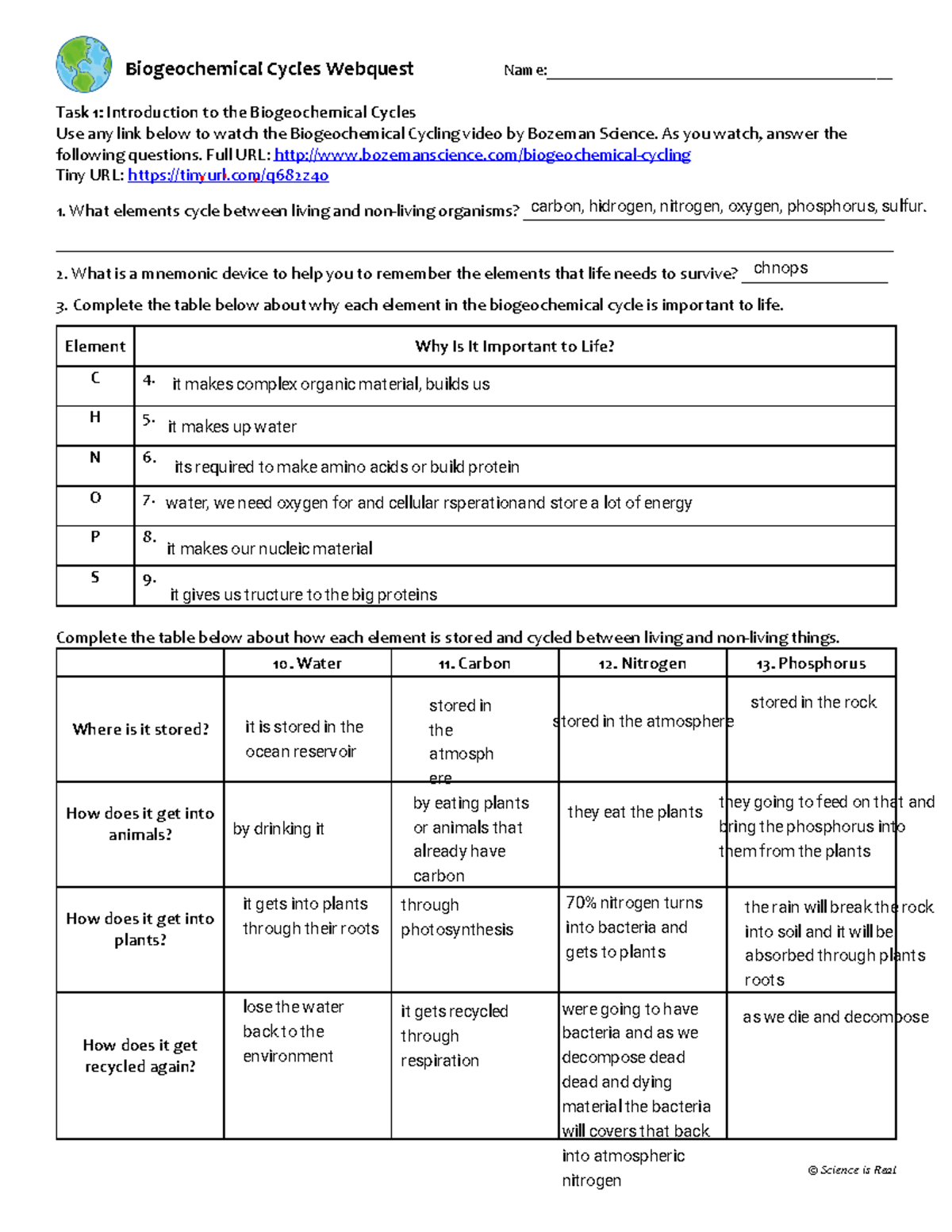 Mark Fowler Kami Export Biogeochemical Cycles Webquest Handout 